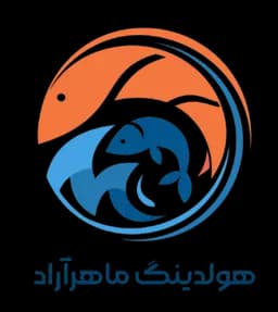 هولدینگ ماهرآراد